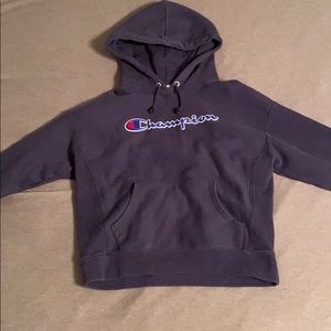blue champion hoodie